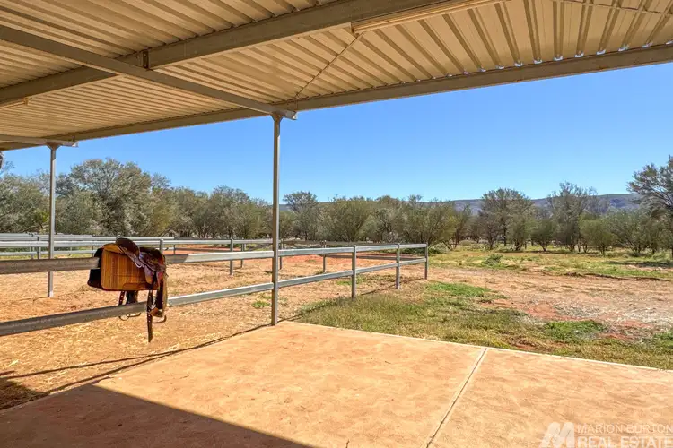 Fifth view of Homely rural property listing, 263 Greatorex Road, Ilparpa NT 873
