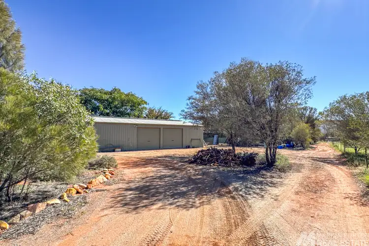 Sixth view of Homely rural property listing, 263 Greatorex Road, Ilparpa NT 873
