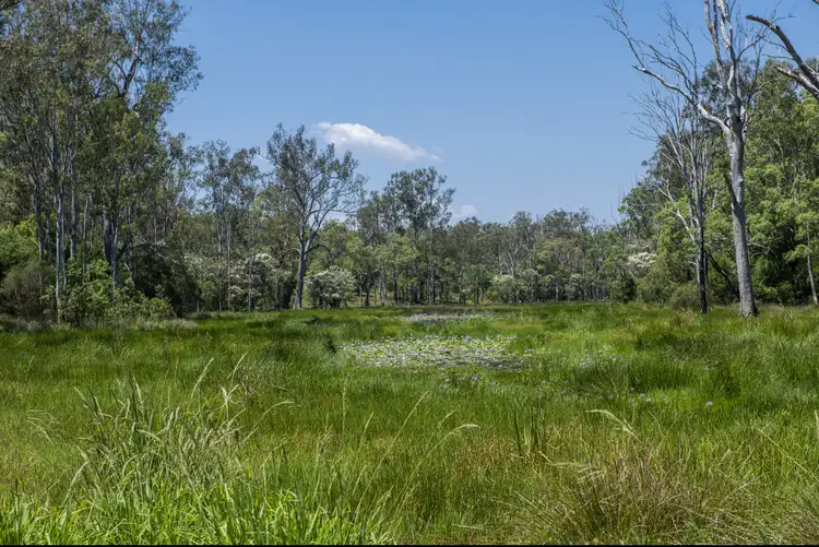 40 Whiteman Creek Road, The Whiteman NSW 2460