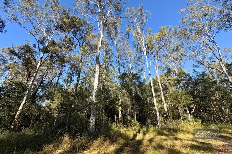 Sixth view of Homely land listing, Lot 311 Faine Road, Bauple QLD 4650
