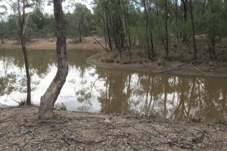 Fourth view of Homely rural property listing, Address available on request