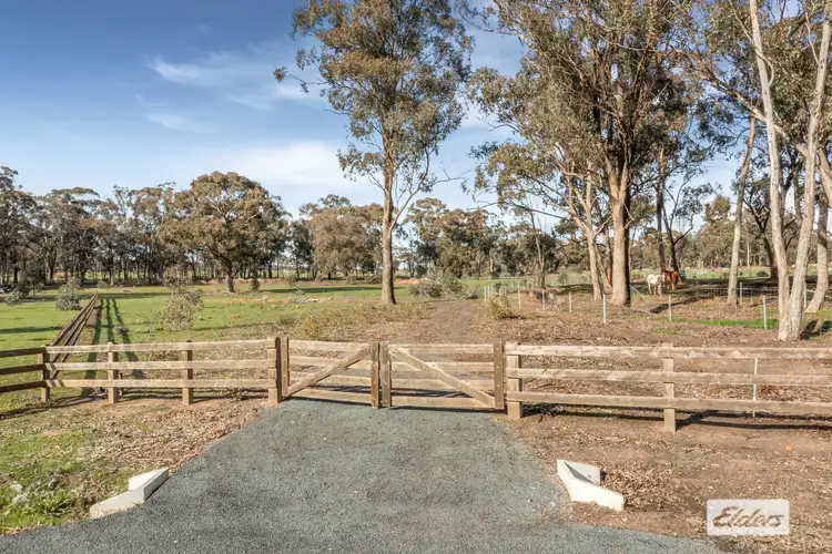 14 Wynnes Lane, Ascot VIC 3551