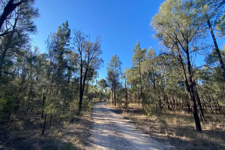 Golden Glow Road, Tara QLD 4421