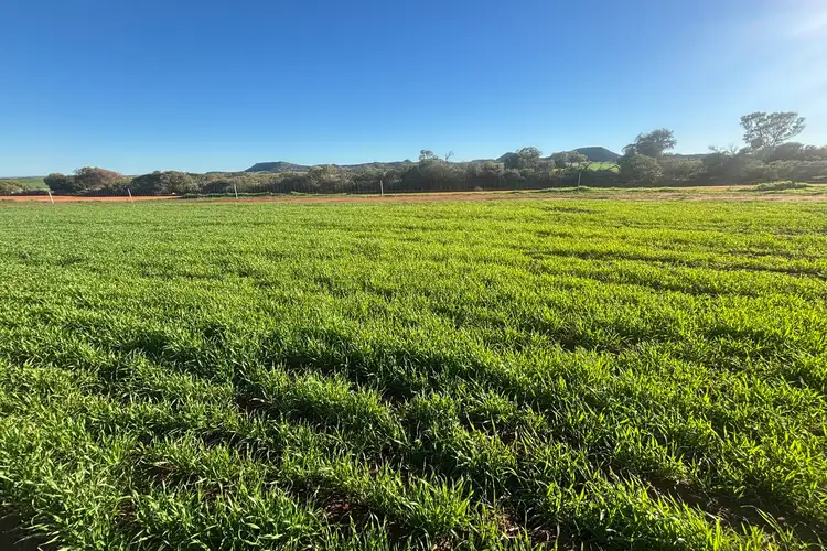 Lot 7890 Hatch Road, Bowes WA 6535