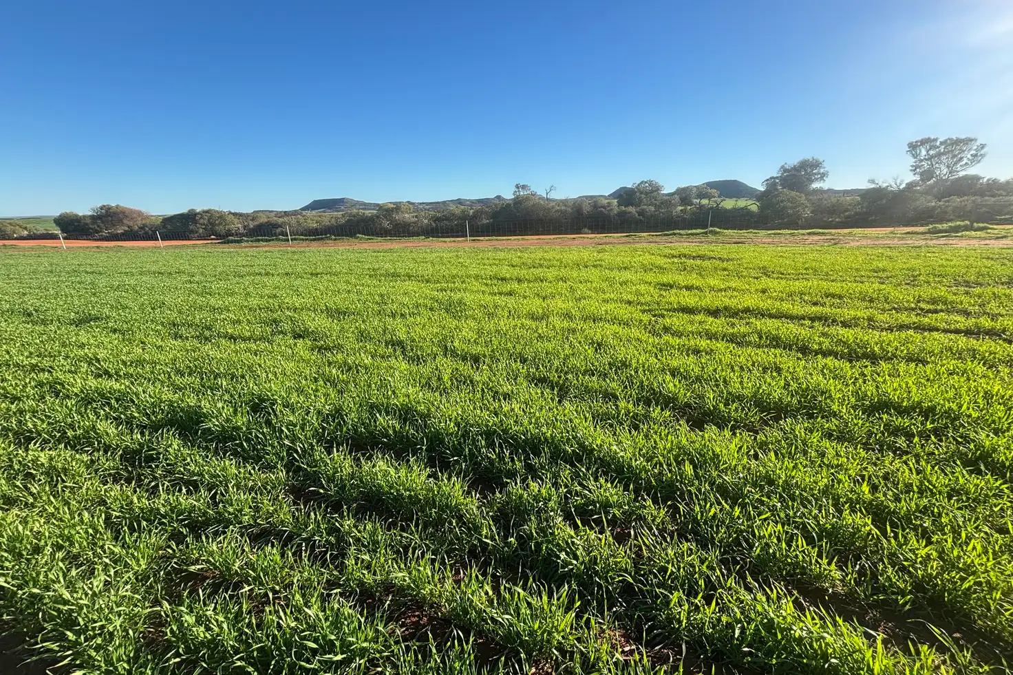 Main view of Homely rural property listing, Lot 7890 Hatch Road, Bowes WA 6535