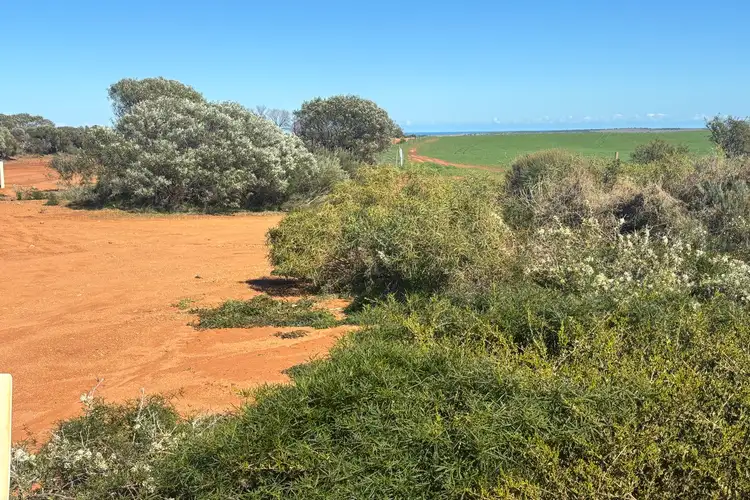 Fifth view of Homely rural property listing, Lot 7890 Hatch Road, Bowes WA 6535
