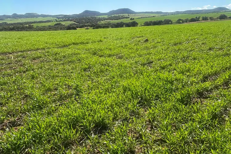 Lot 52 Starling Road, Bowes WA 6535