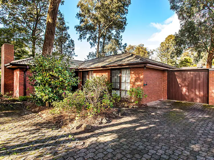 4/91-93 Surrey Road, Blackburn North VIC 3130