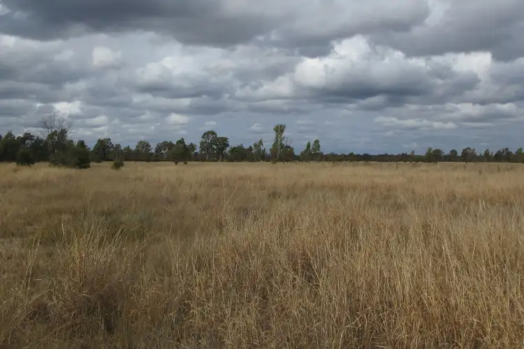 Lot/115 Kofoeds Road, Tara QLD 4421