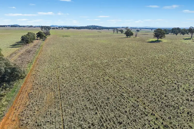 Fourth view of Homely rural property listing, Lots 126 & 419 Of 2357 Henry Lawson Drive, Gulgong NSW 2852