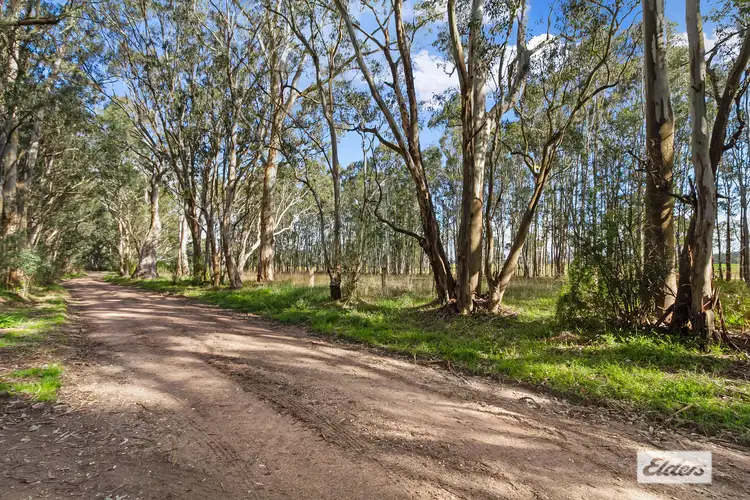 Third view of Homely rural property listing, 21 Grays Road, Briagolong VIC 3860