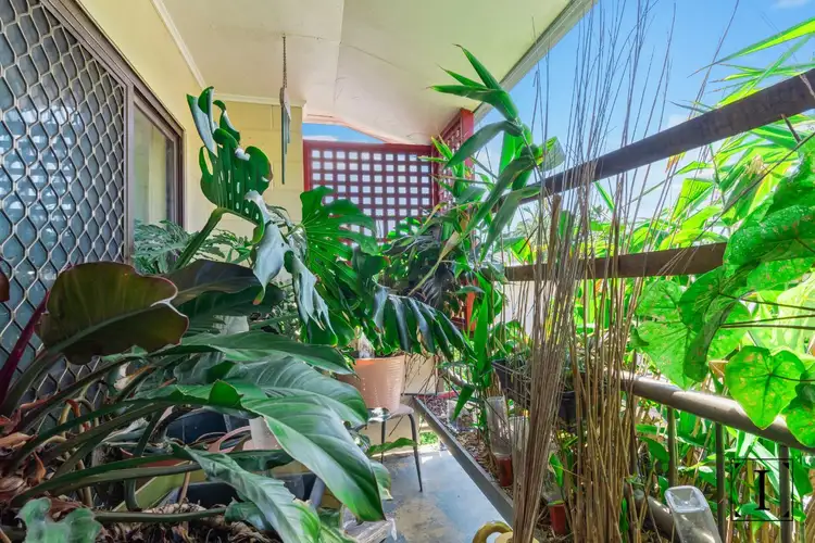 Third view of Homely unit listing, 40/439-443 Severin Street, Manunda QLD 4870