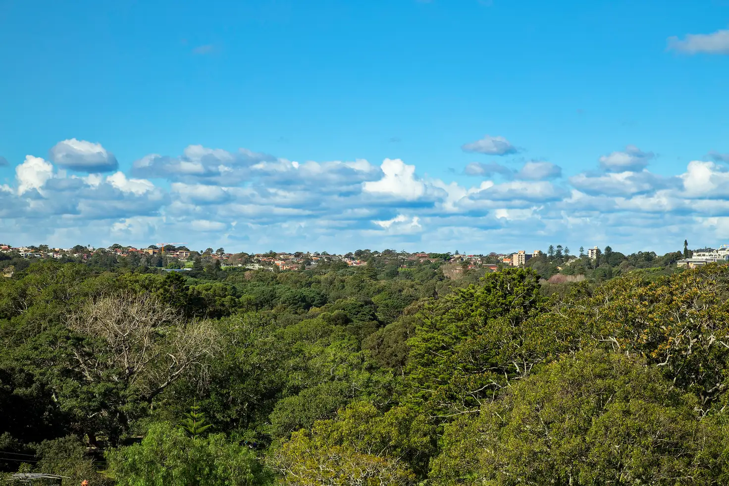 Main view of Homely studio listing, 6B/105 Cook Road, Centennial Park NSW 2021