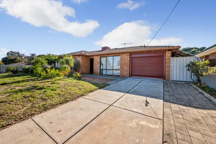 Fourth view of Homely house listing, 81 Strelitzia Avenue, Forrestfield WA 6058