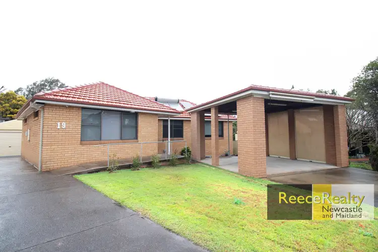 19 Lester Parade, North Lambton NSW 2299