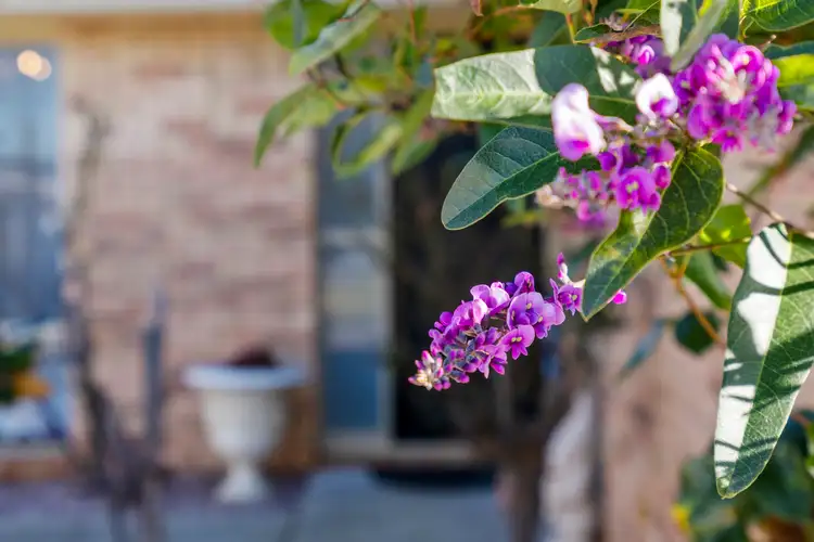 Second view of Homely house listing, 17 Amelia Court, Sorell TAS 7172