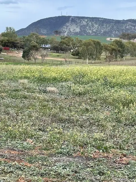 Third view of Homely land listing, 6 Nugent Road, York WA 6302