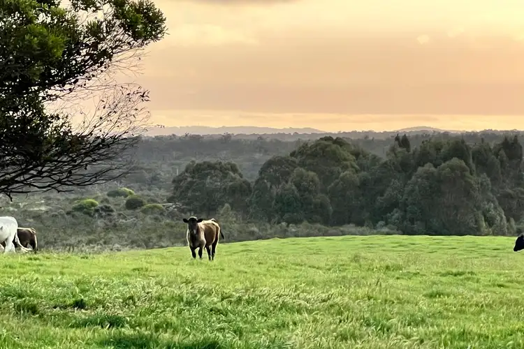 STAGE 2 - Albany Views Private Estate - Albany Views Private Estate, Drome
