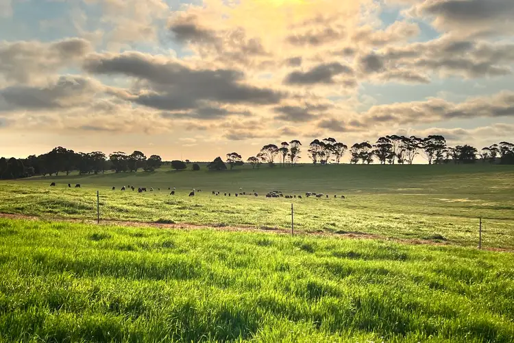 LOT 235 STAGE 2 - Albany Views Private Estate - Albany Views Private Estate, Drome, Albany WA 6330
