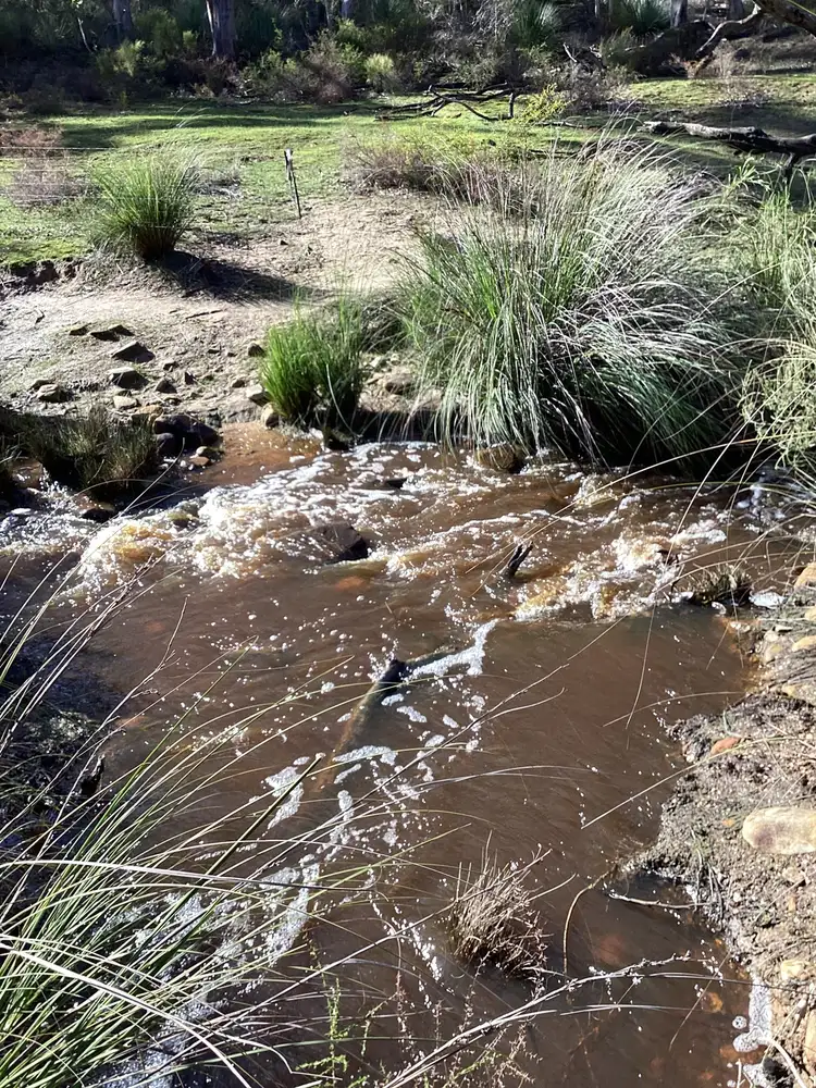 Second view of Homely rural property listing, LOT 1 Harriet Road, Newland SA 5223