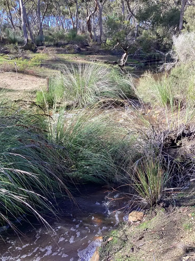 Third view of Homely rural property listing, LOT 1 Harriet Road, Newland SA 5223