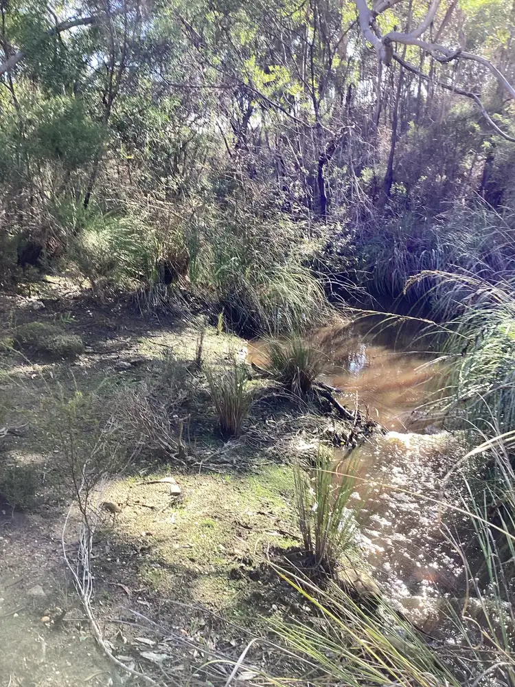 Fourth view of Homely rural property listing, LOT 1 Harriet Road, Newland SA 5223