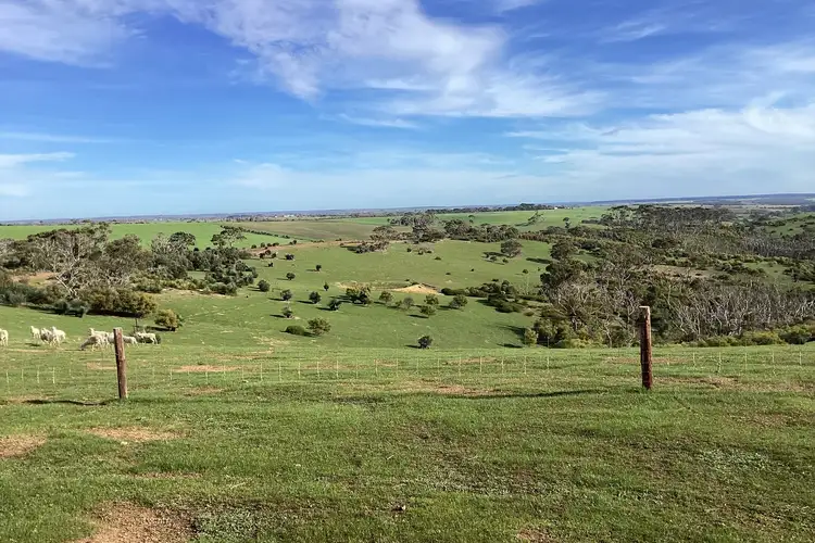 Fifth view of Homely rural property listing, LOT 1 Harriet Road, Newland SA 5223
