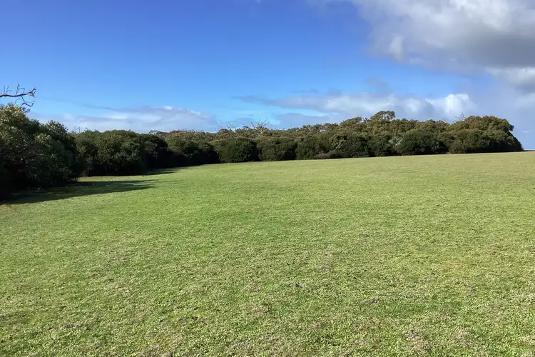 Seventh view of Homely rural property listing, LOT 1 Harriet Road, Newland SA 5223