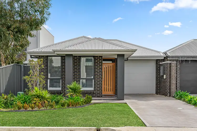 4 Ambleside Place, Morphettville SA 5043