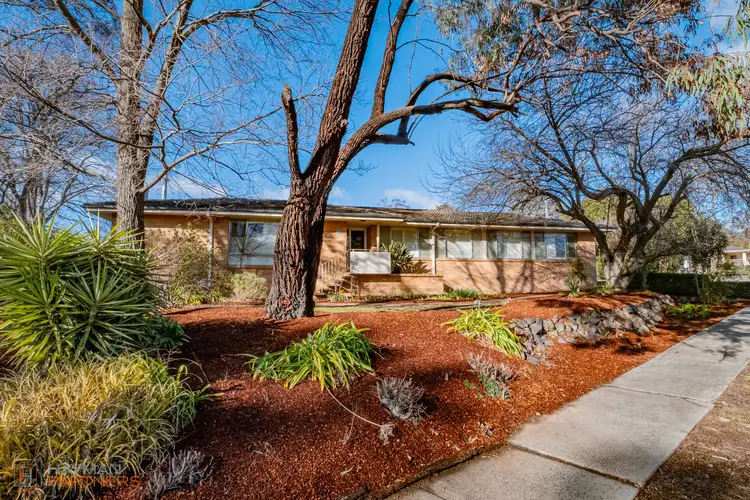 19 Basedow Street, Torrens ACT 2607