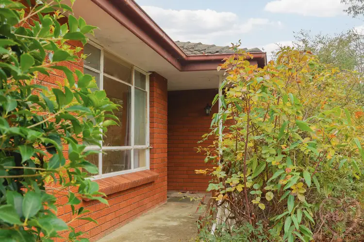 Fourth view of Homely house listing, 19 Bragg Street, Hackett ACT 2602