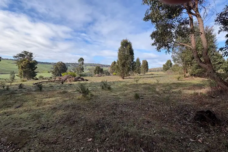 Fourth view of Homely rural property listing, LOT 302 Hearle Road, Mumballup WA 6225