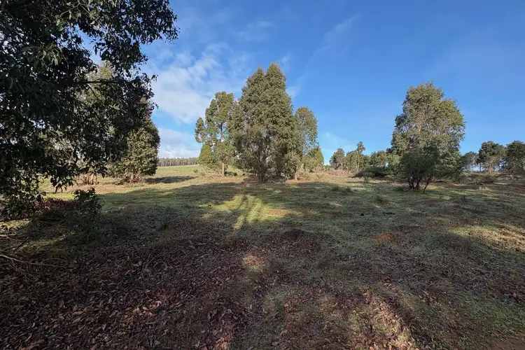 Sixth view of Homely rural property listing, LOT 302 Hearle Road, Mumballup WA 6225