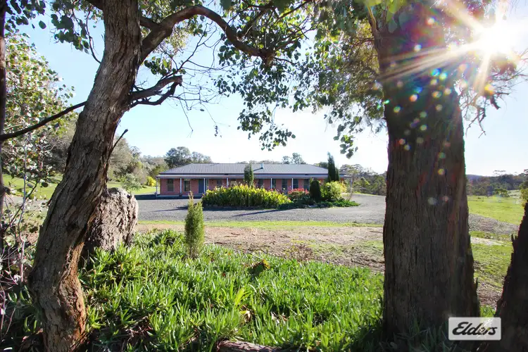 57 Drechsler Road