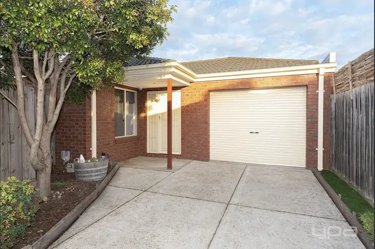 3/15 Jellicoe Street