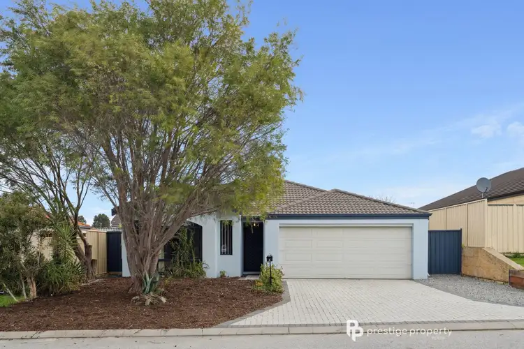 6 Rosea Way, Banksia Grove WA 6031