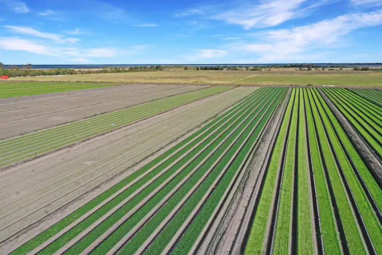 Second view of Homely rural property listing, 690 Aitkens Road, Bengworden VIC 3875