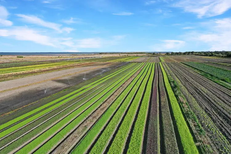 Third view of Homely rural property listing, 690 Aitkens Road, Bengworden VIC 3875