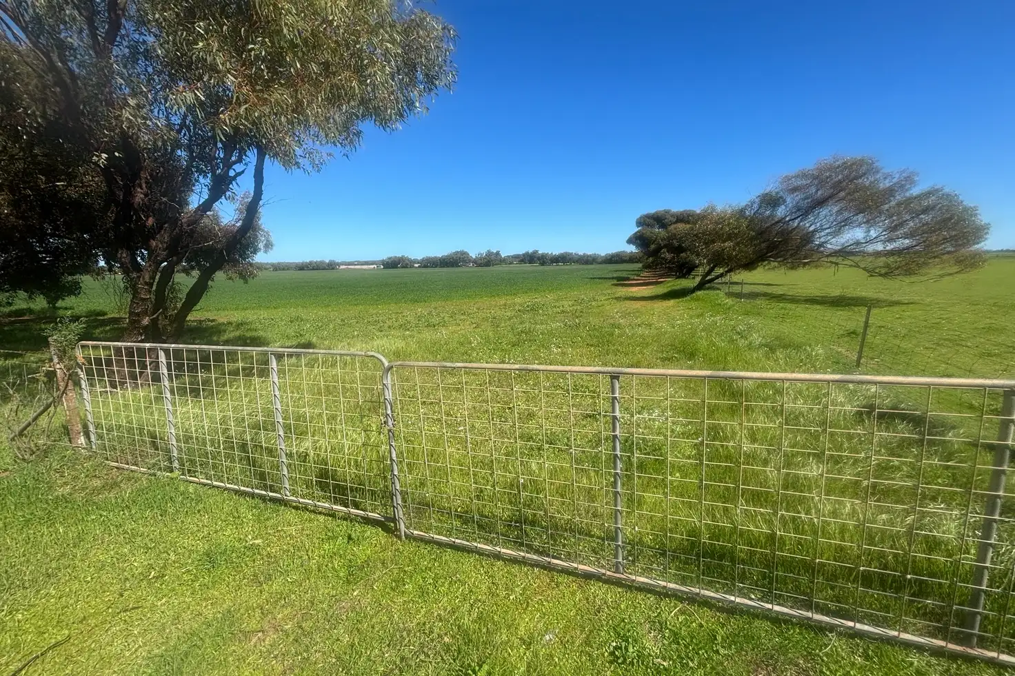 Main view of Homely rural property listing, Lot 1152 Narngulu, Narngulu WA 6532