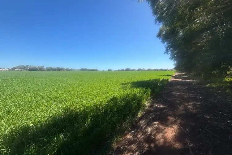 Third view of Homely rural property listing, Lot 1152 Narngulu, Narngulu WA 6532