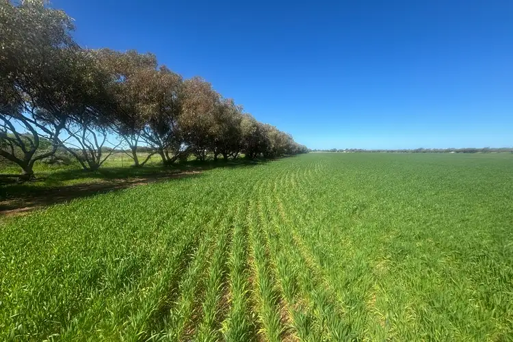 Fourth view of Homely rural property listing, Lot 1152 Narngulu, Narngulu WA 6532