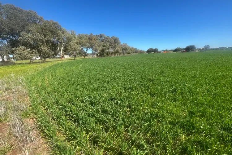 Sixth view of Homely rural property listing, Lot 1152 Narngulu, Narngulu WA 6532