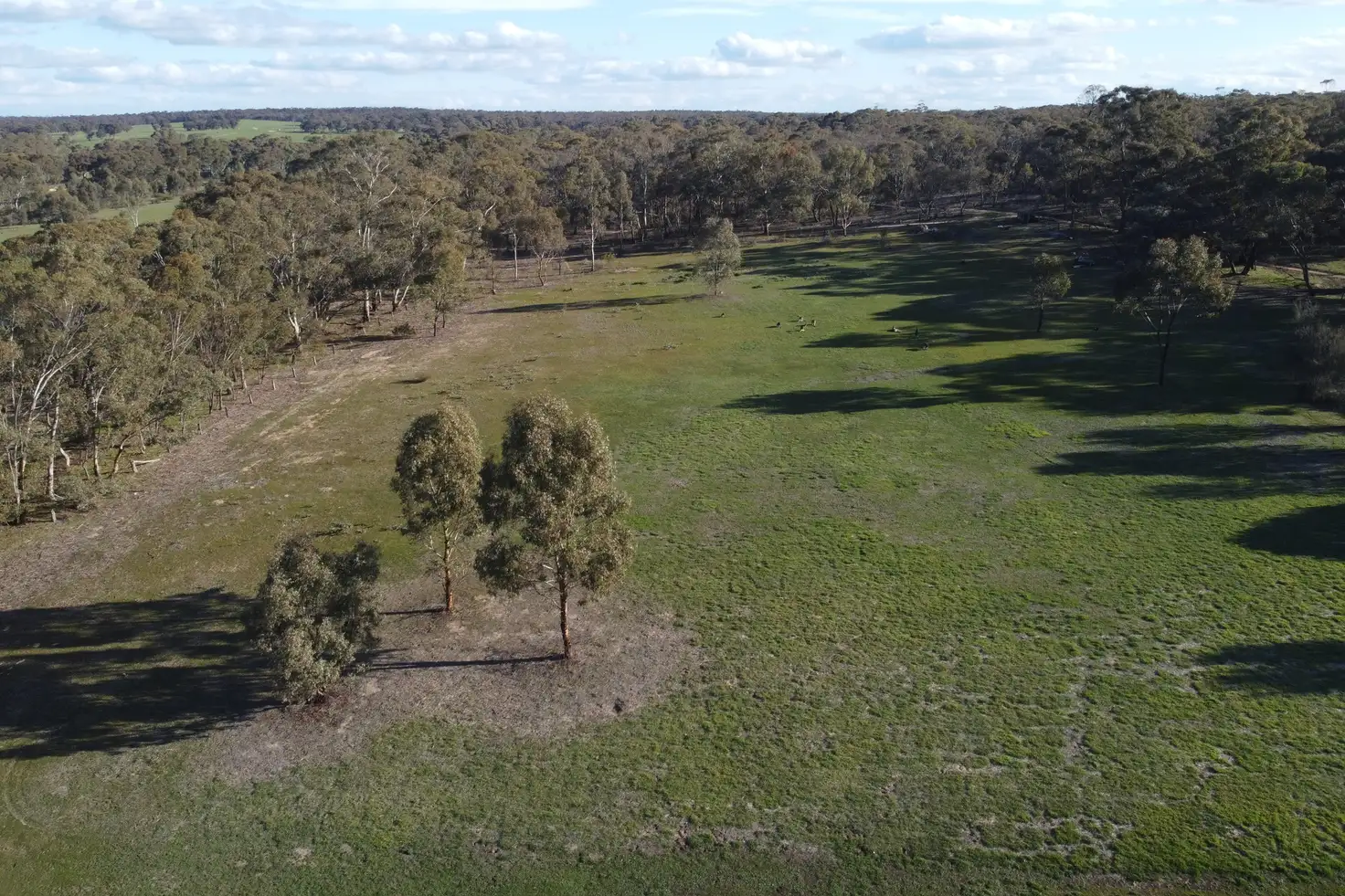 Main view of Homely land listing, Burnside Road, St Arnaud VIC 3478