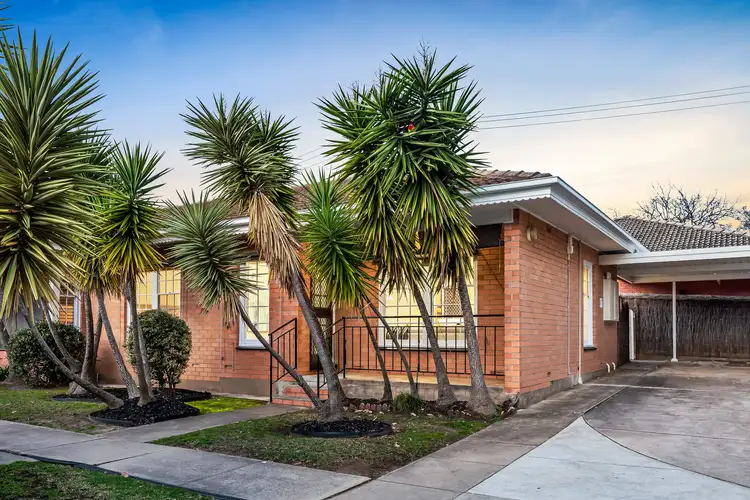 1/93 Alexandra Avenue