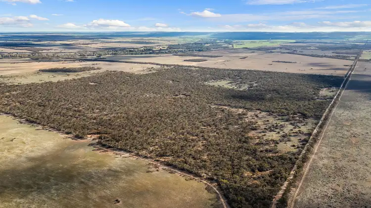 Fifth view of Homely land listing, 321 Sleeper Track, Cambrai SA 5353