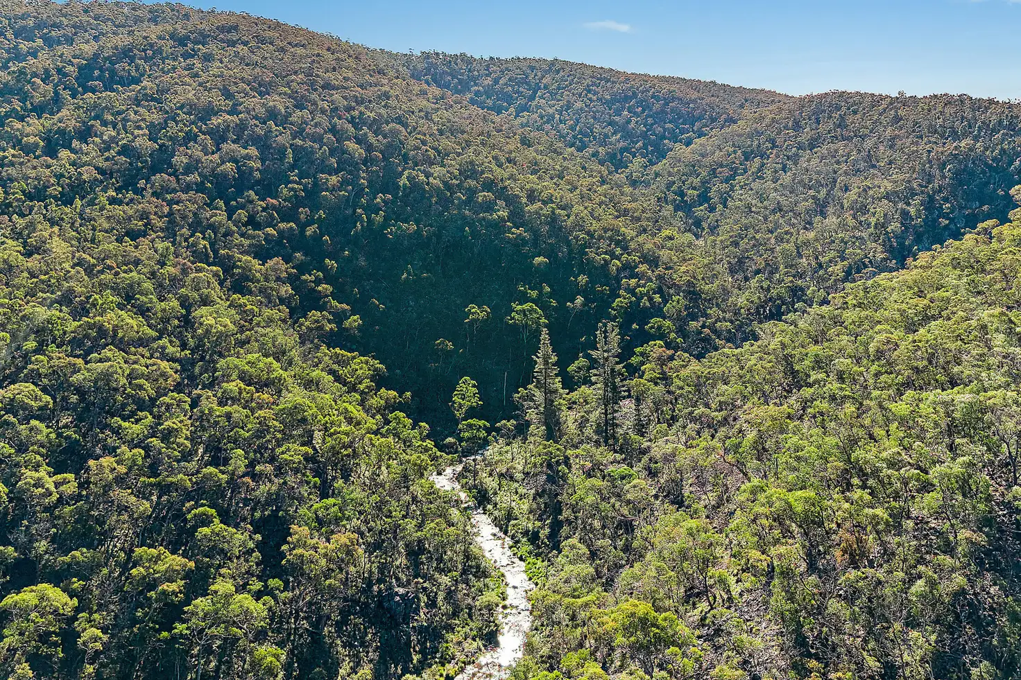 Main view of Homely rural property listing, 94 Oakey Forest Road, Lithgow NSW 2790