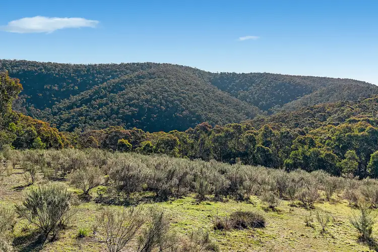 Seventh view of Homely rural property listing, 94 Oakey Forest Road, Lithgow NSW 2790