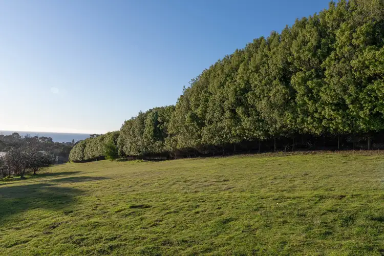 Fourth view of Homely land listing, 18 Alexander Street, Leith TAS 7315