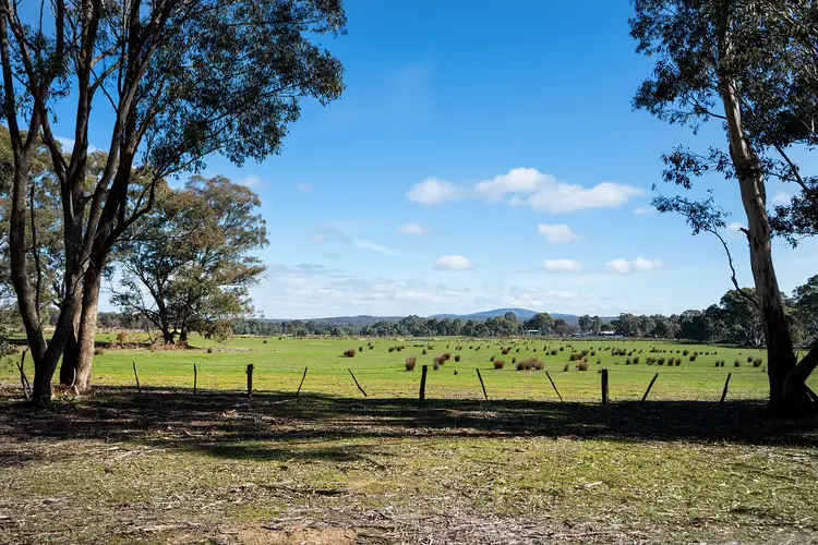 Second view of Homely rural property listing, 536 Muckleford-Castlemaine Road, Muckleford VIC 3451
