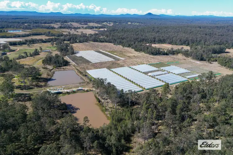 Fourth view of Homely rural property listing, 357 Big River Way, Glenugie NSW 2460